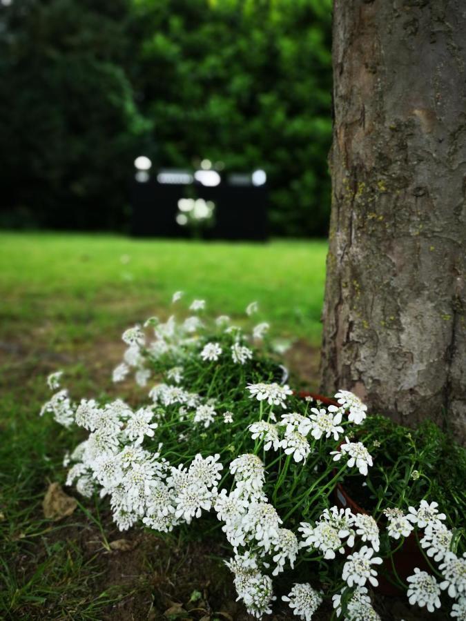 Bed and Breakfast La Ferme De Valeuse Morienval Esterno foto