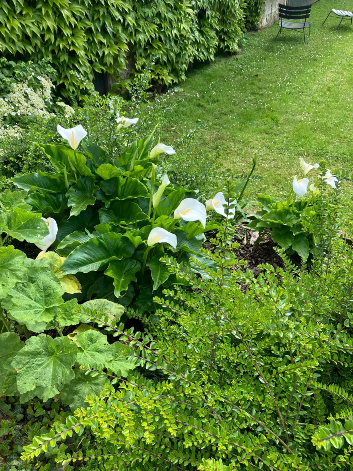 Bed and Breakfast La Ferme De Valeuse Morienval Esterno foto